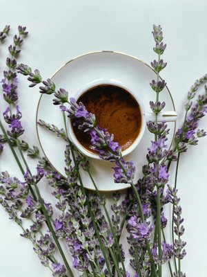 Featured image for ביטוח מקצועי לעובד: הבנת החשיבות והיתרונות